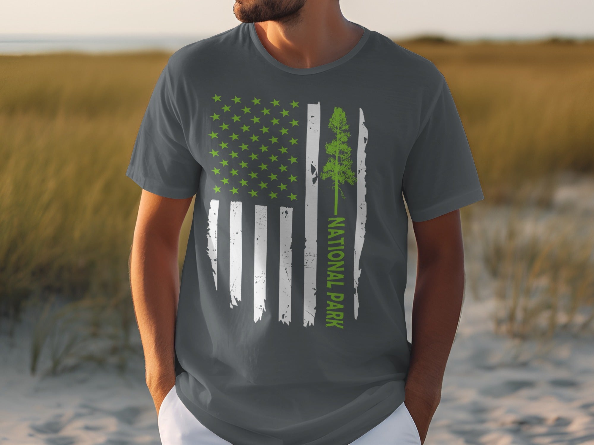 Gray t-shirt with distressed American flag graphic and "National Park" text