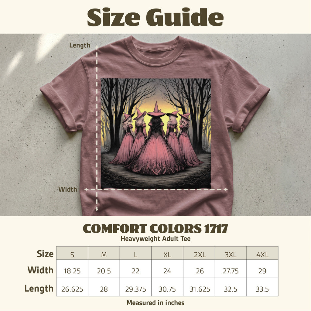 Comfort Colors 1717 adult tee size guide showing width and length measurements in inches.