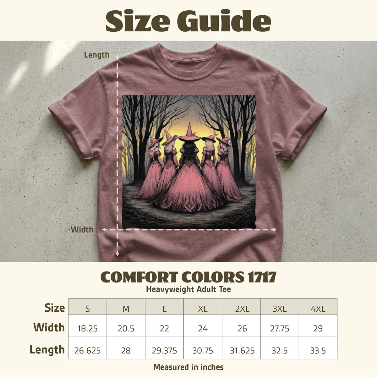Comfort Colors 1717 adult tee size guide showing width and length measurements in inches.